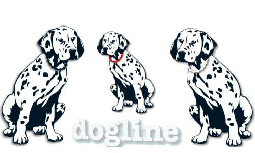 Wellness DogLine Halsband,DogLine Anionen Hunde Halsband sorgt für ein gesundes natürliches Ionenklima