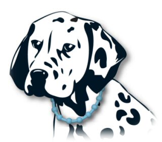 DogLine Anionen Hunde Halsb&auml;nder sorgen f&uuml;r ein gesundes nat&uuml;rliches Ionenklima. Hunde, die Ionenb�nder tragen, seltener befallen Parasiten wie Fl�he und Zecken